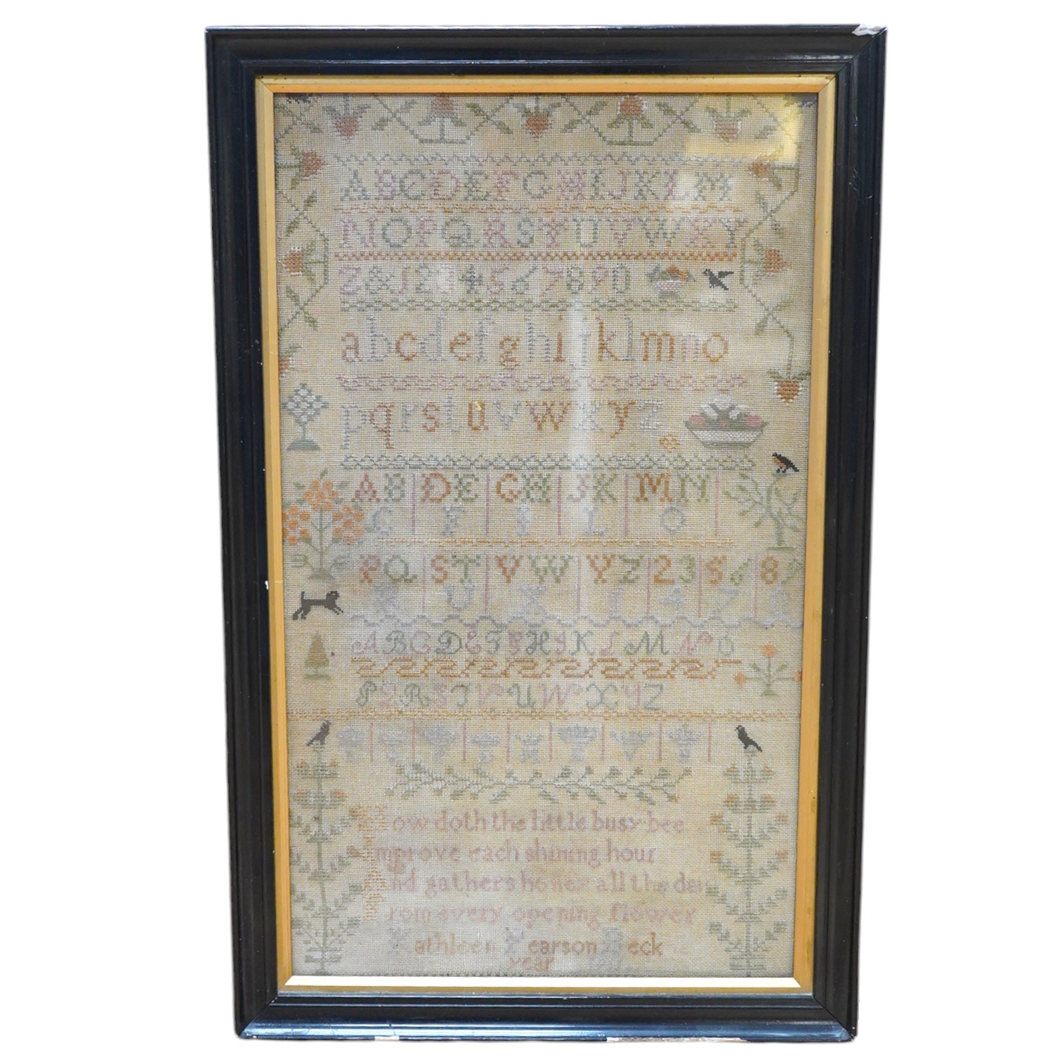 A framed cross stitch, alphabet sampler, by Kathleen Pearson, aged 8, dated 1911, worked in cross stitch with a decorative border of trees, vines, flowers with five spot motifs of blackbirds and a cat, the central panel